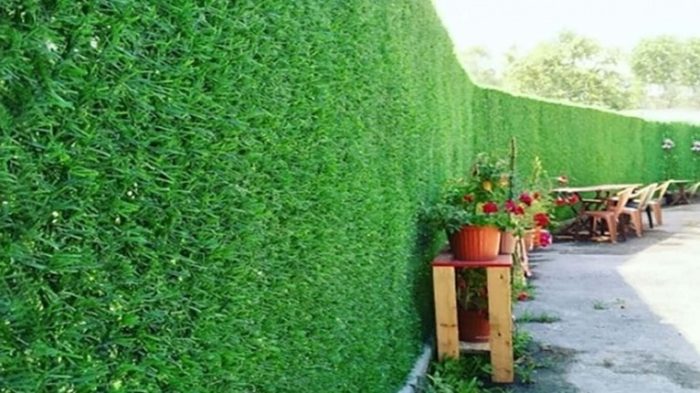 დეკორატული ღობე - Image 3